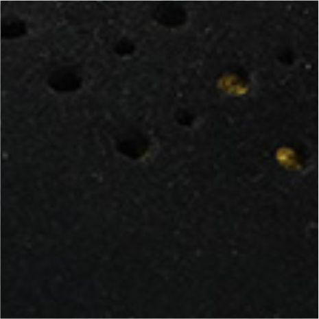Reverse velvet cowhide