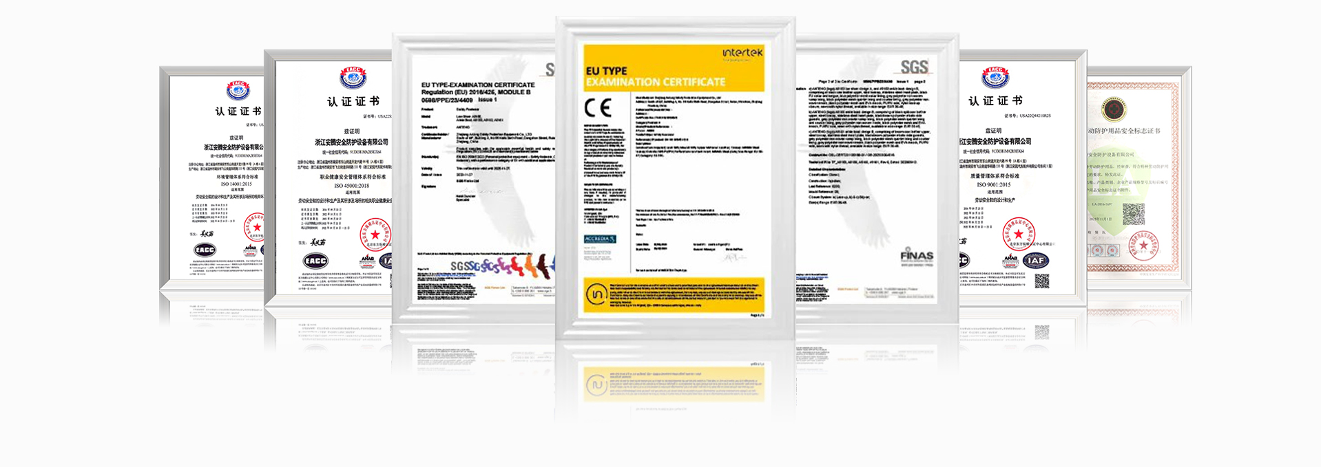 Certificate_53